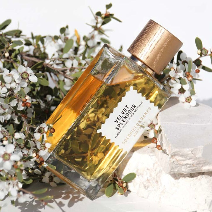 Velvet Splendour