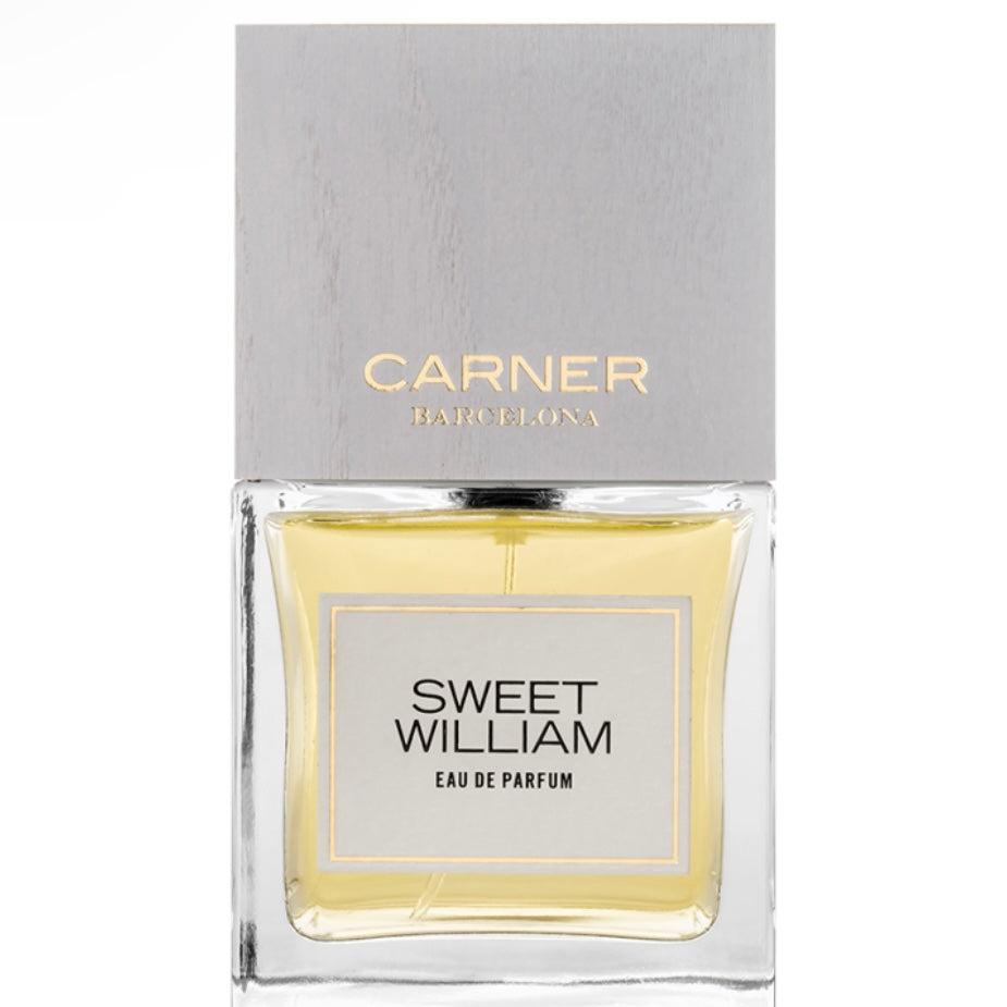Sweet William