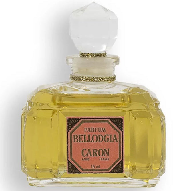 Bellodgia