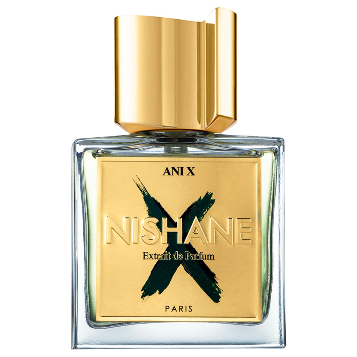 Ani X