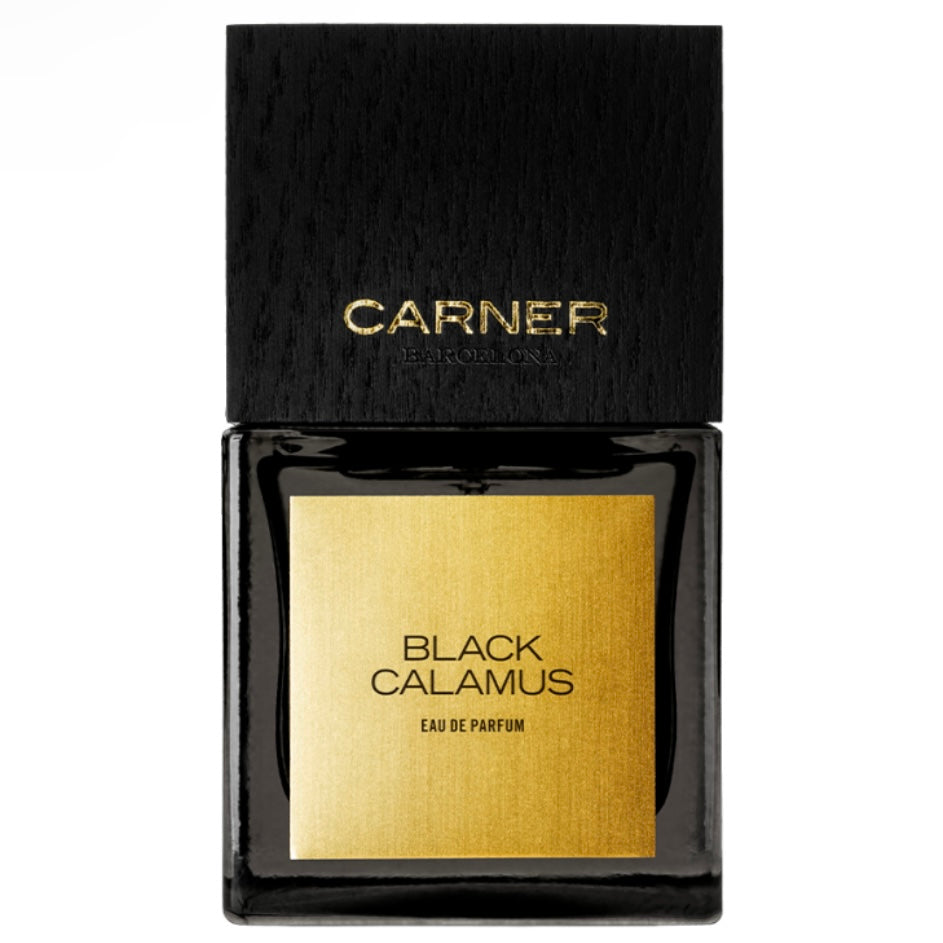 Black Calamus