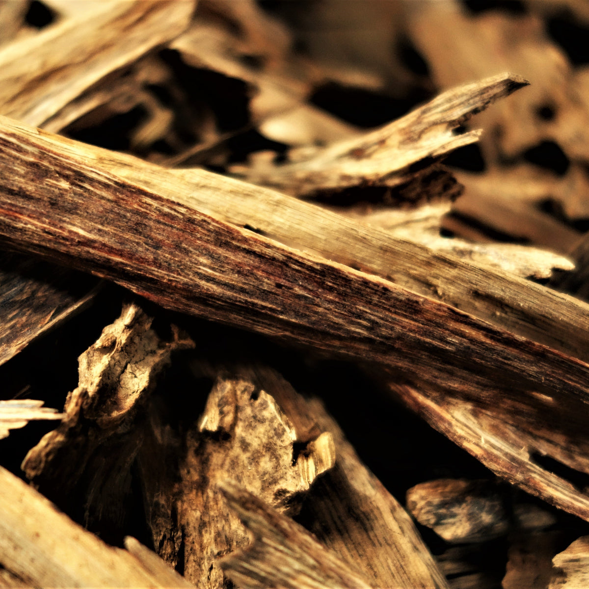 Malaysian Oud Wood Chips (Grade A)